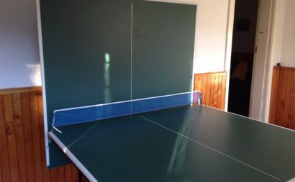 Foldable table tennis table