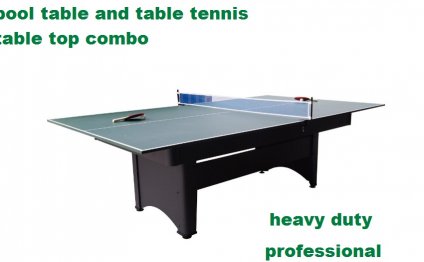 Pool table and table tennis
