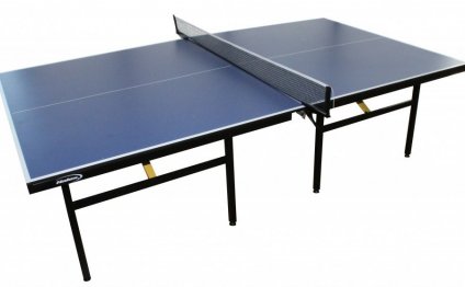 Halex Express Table Tennis