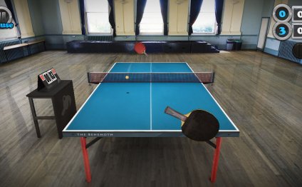 Table Tennis Touch captures