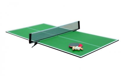 Butterfly Table Tennis Table Top