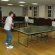 Rules in playing Table Tennis