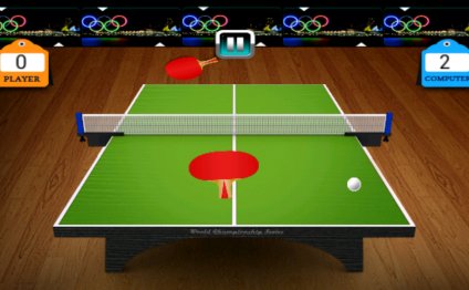 Ping Pong/Table Tennis Game