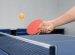 Physics of Table Tennis