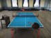 Spin in Table Tennis