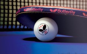 Butterfly.com Table Tennis