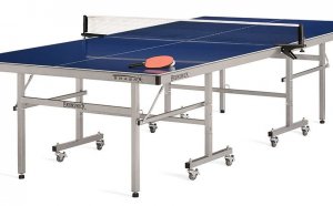 Indoor Outdoor Table Tennis