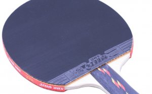 Table Tennis Bats brands