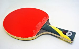 Table Tennis Bats Price