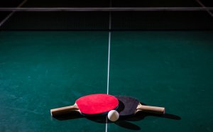 Top Table Tennis rubbers