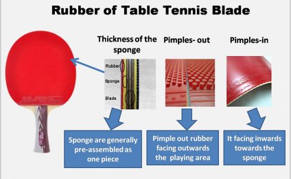 What is a Table Tennis Bat called?