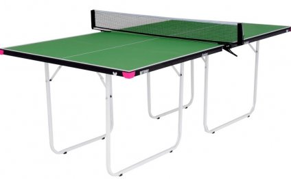 Ping Pong brand Table Tennis
