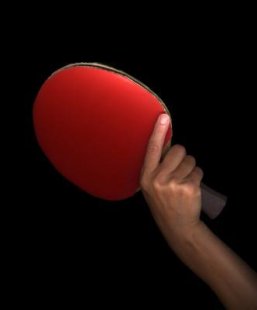 The Best Rated Table Tennis Paddle