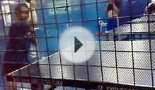 Table Tennis Ball Machine - Fast Ball