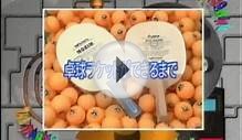 The Making of Table Tennis Blades and Rubbers (Japanese