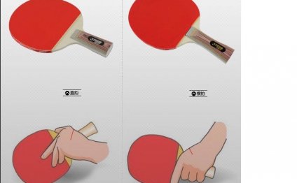 Double Happiness Table Tennis Racket